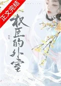 权臣的外室封面