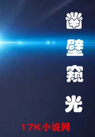 凿壁窥光封面