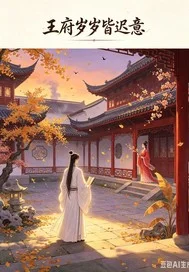 王府岁岁皆迟意封面