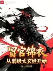 冒官锦衣,从满级太玄经开始封面