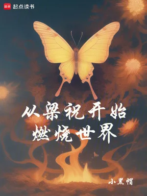 从梁祝开始燃烧世界封面