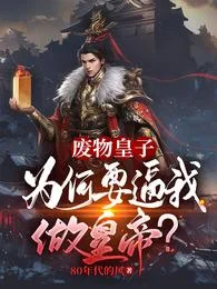 大夏国九皇子夏天封面