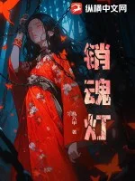 销魂灯封面