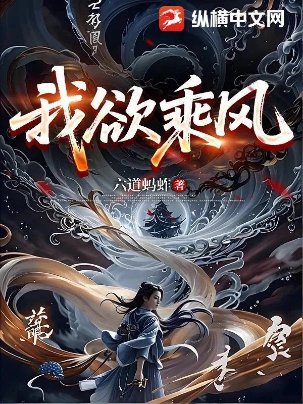 我欲乘风封面