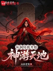 从洞房夜开始神游天地封面