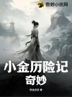 小金历险记奇妙封面