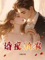 婚夜渐浓封面