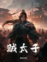 贼太子封面