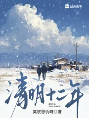 清明十二年封面