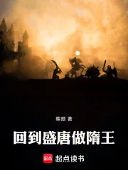 回到盛唐做隋王封面