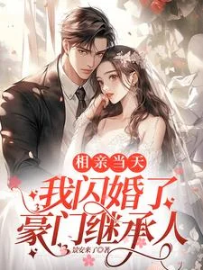 相亲当天我闪婚了豪门继承人封面