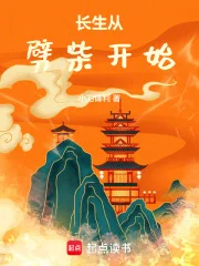 长生从劈柴开始封面