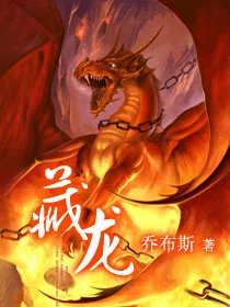 藏龙封面