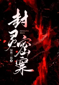 封灵密案封面