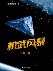 机武风暴(第二册)封面