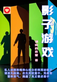 影子游戏封面