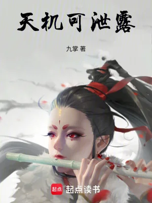 玖鸢窥天封面
