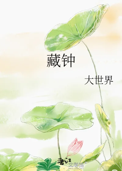 藏钟封面