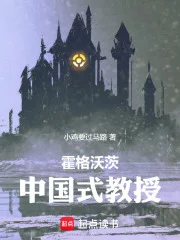 霍格沃茨:中国式教授封面