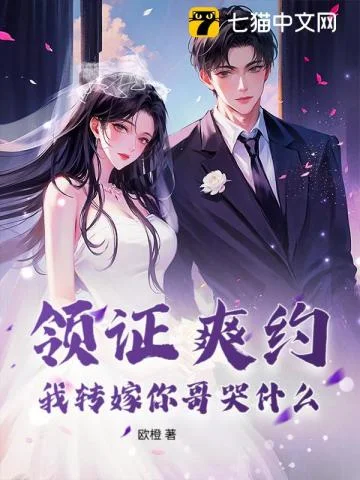领证爽约?我转嫁你哥哭什么封面