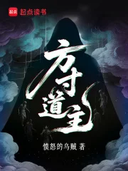 方寸道主封面