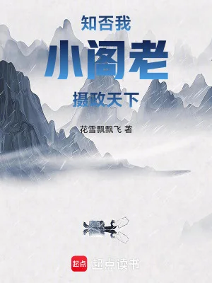 知否：我，小阁老，摄政天下封面