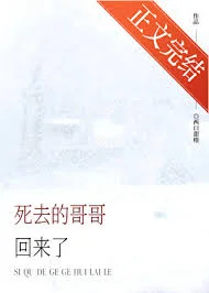 死去的哥哥回来了封面