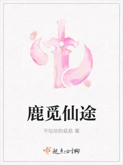 鹿觅仙途封面