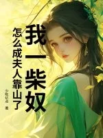 我一柴奴，怎么成夫人靠山了？封面