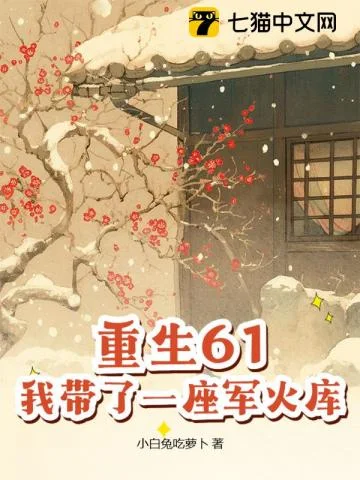 重生61,我带了一座军火库封面
