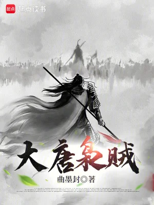 大唐枭贼封面
