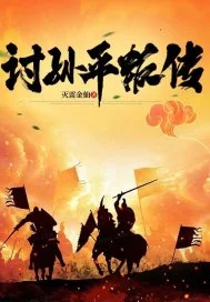 讨孙平叛传封面