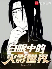 白眼中的火影世界封面