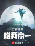 万古神帝：唯我帝一封面