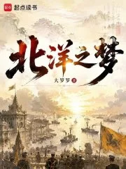 北洋之梦封面
