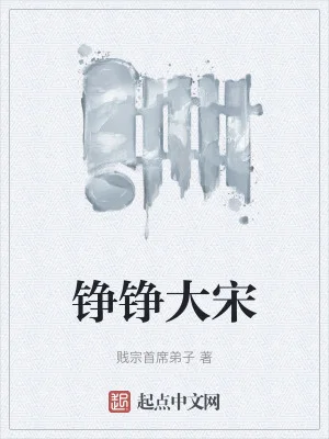 铮铮大宋封面