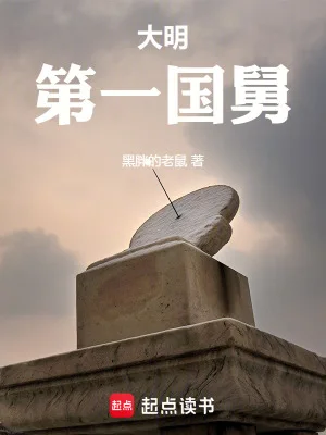 大明第一国舅封面