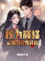 权力巅峰从借调纪委开始封面