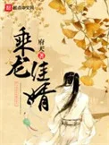乘龙佳婿封面