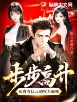 步步高升:从省考状元到权力巅峰封面