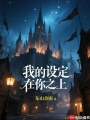 我的设定在你之上!封面