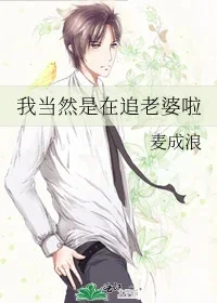 我当然是在追老婆啦封面