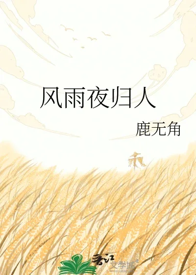风雨夜归人封面