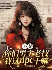 不是你们男主老找我这NPC干嘛封面