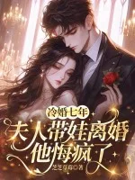 冷婚七年，夫人带娃离婚他悔疯了封面