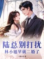 陆总别打扰,林小姐早就二婚了封面