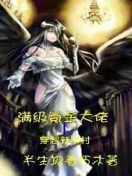 满级氪金大佬穿越新手村封面