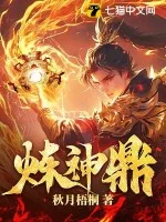 炼神鼎封面