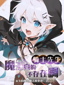 骑士先生，魔王真的不存在啊封面