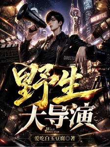 野生大导演封面